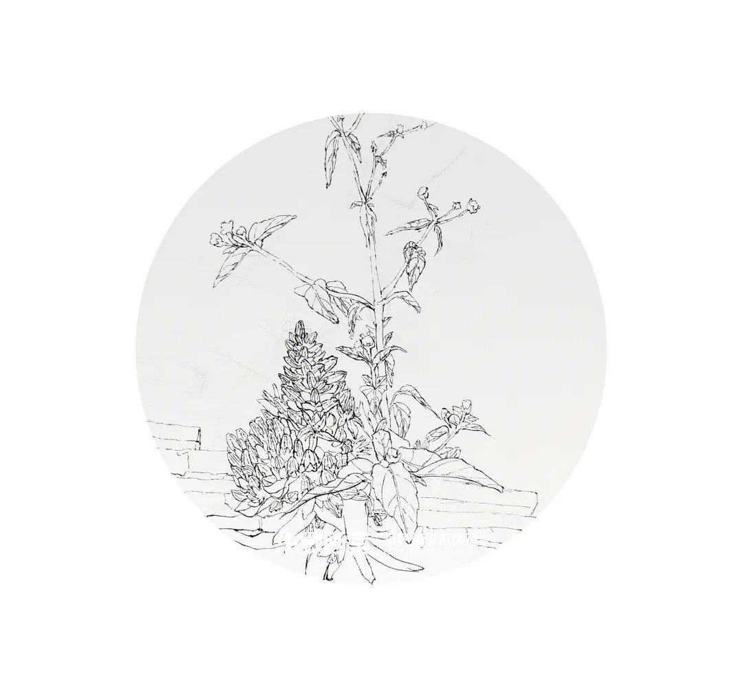 作品展#一眼沦陷这样绝美的秋色看完不得不爱!华卿国画定向班写生作品展