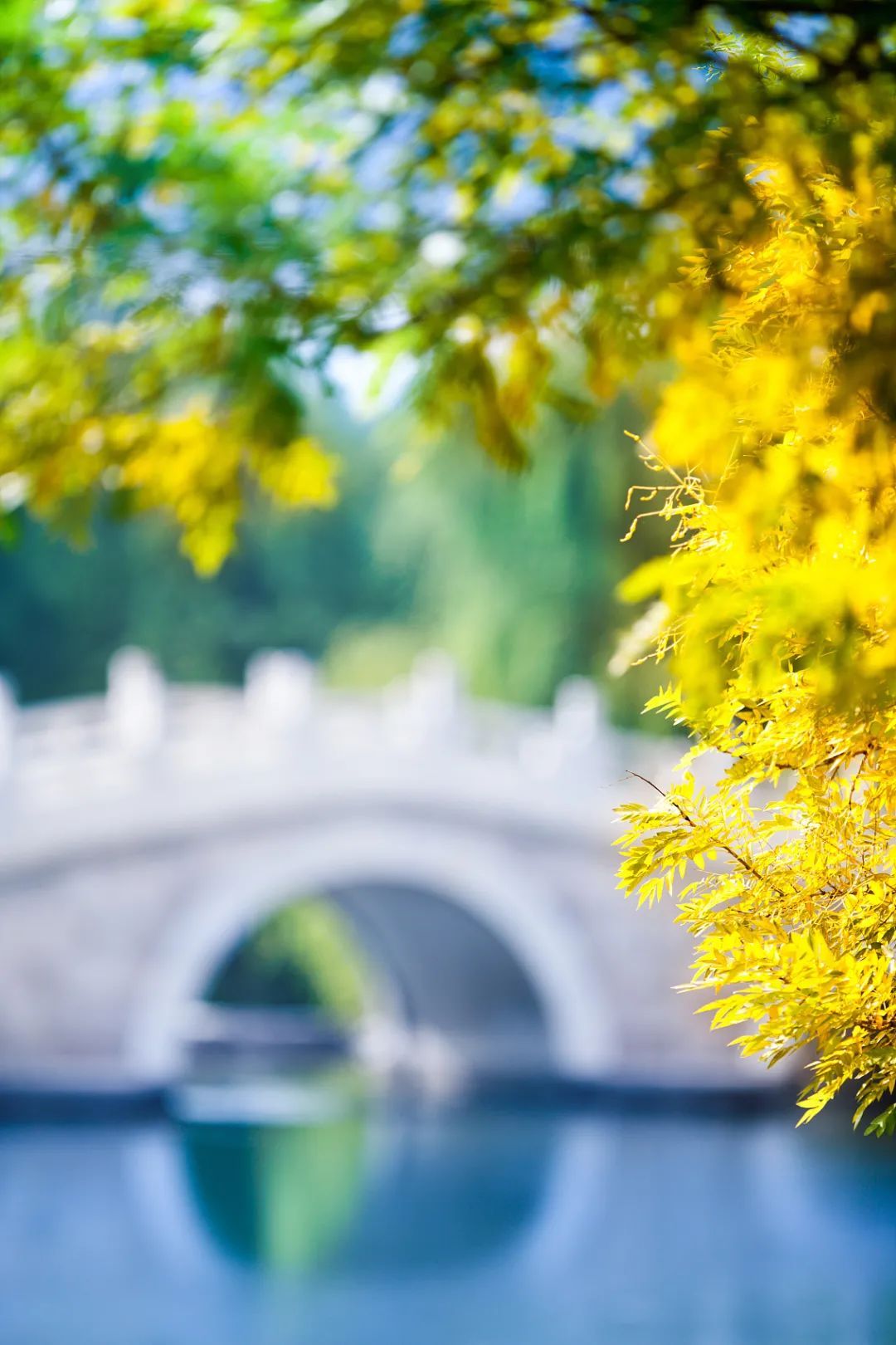 秘笈|今日立秋！这份养生保健秘笈请收好