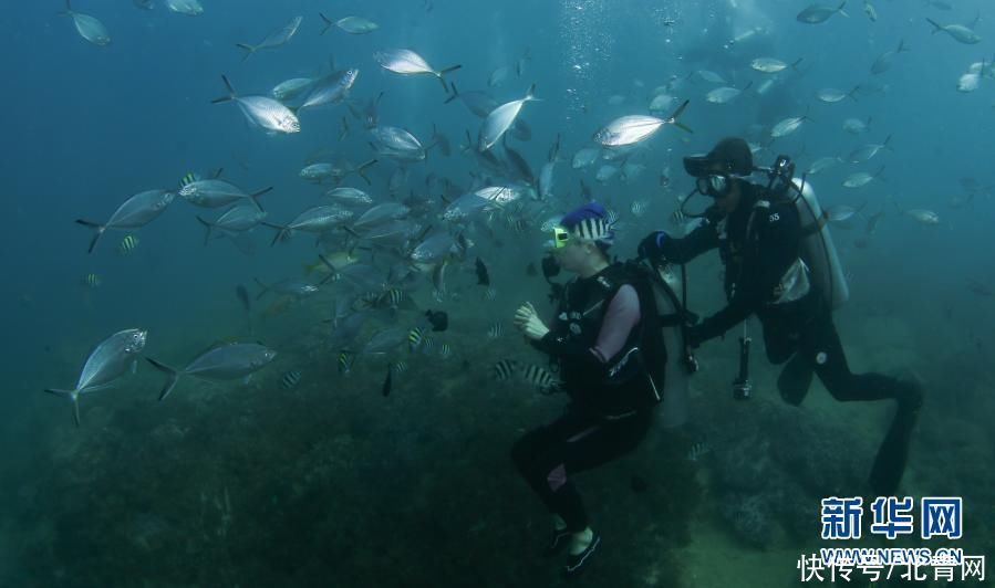 海南三亚：潜水享假期