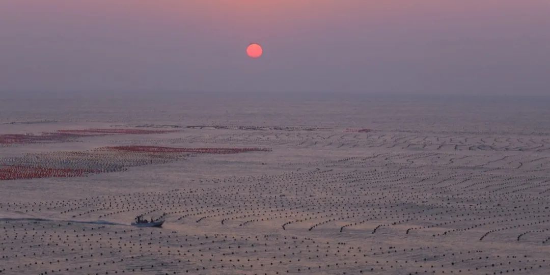 大医|海上日出：大医一天中最浪漫的时刻