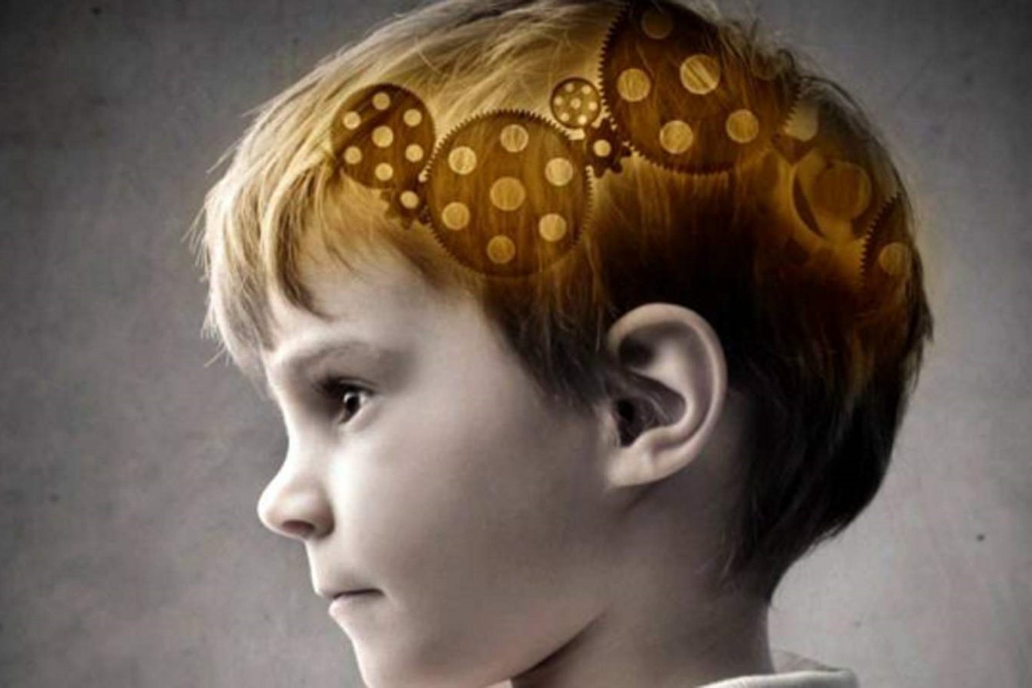 历史|血型真会影响娃的智商?从血型的历史开始研究,或许能找到答案