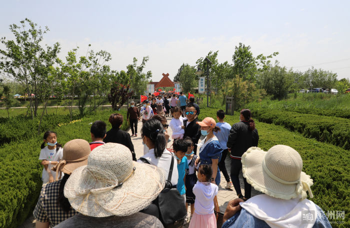 无棣县|无棣县第十届千年古桑旅游文化节开幕