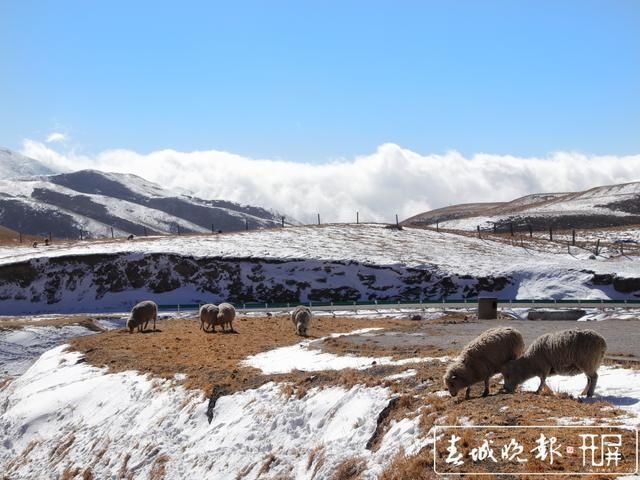 会泽草山：一个能尽情赏雪、玩雪的地方