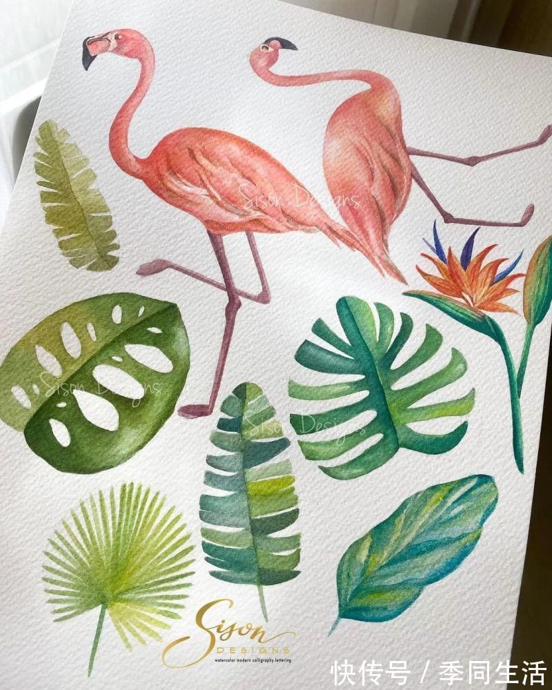 笔尖&美爆!70张超简单小清新的水彩手账,你想要的都在这里!收藏这篇就够了!