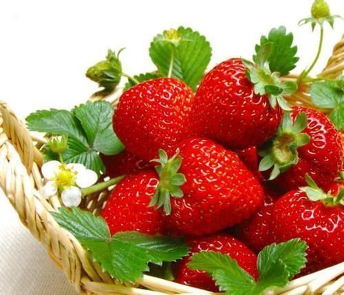 洋蔥|長壽的人,多有“3快2慢”的共同點,快來看看你有沒有?