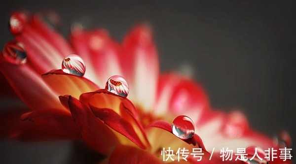 新妈妈|产后出汗、贫血等症状,建议食谱来调养!产后出汗、贫血等症状,建议食谱来调养!