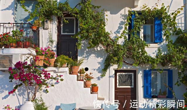 花盆里的小飞虫到处乱飞怎么办？教你几个小方法，实用