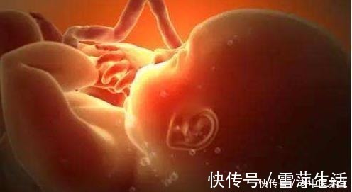 嫌弃|宝宝在妈妈肚子里的时候,便便都去了哪里妈妈知道了别嫌弃!