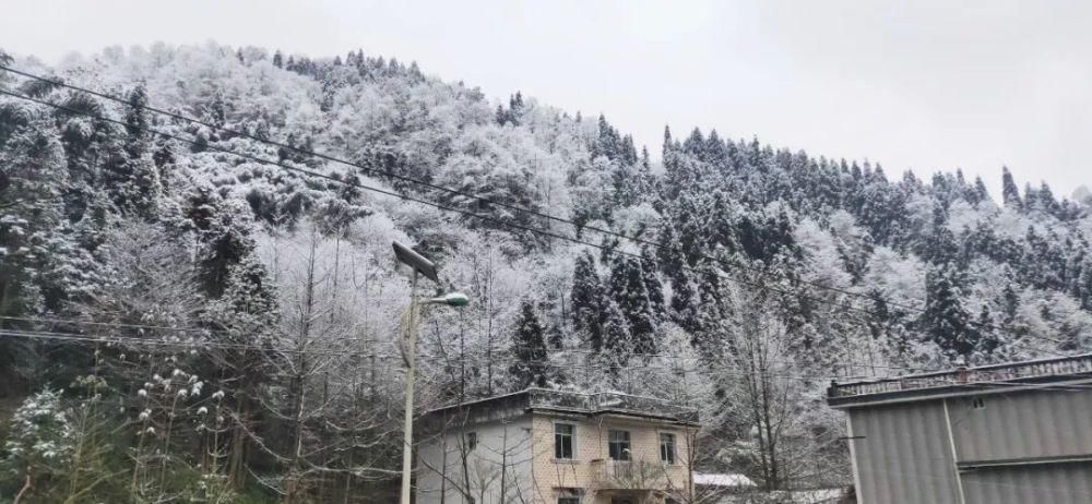 一大|德阳各地雪景美照大曝光！隔壁城市都羡慕哭了！一大波视频照片……