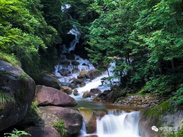 吴立新|云游雨后黄山 美景如画好似仙境