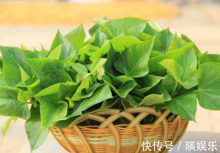 抗衰老|农村这4大野菜,女人吃了抗衰老,男人吃了能降三高,别不懂!