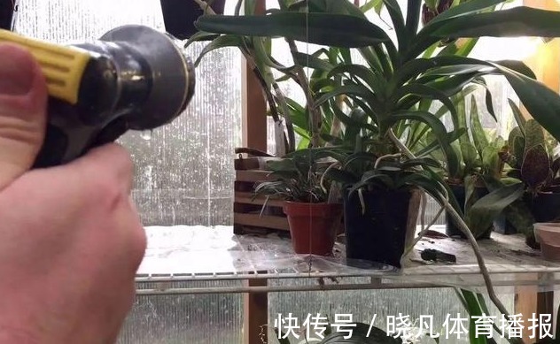 养花|喜欢养花,先戒掉7个坏习惯,不然啥花也养不好,你占了几个?