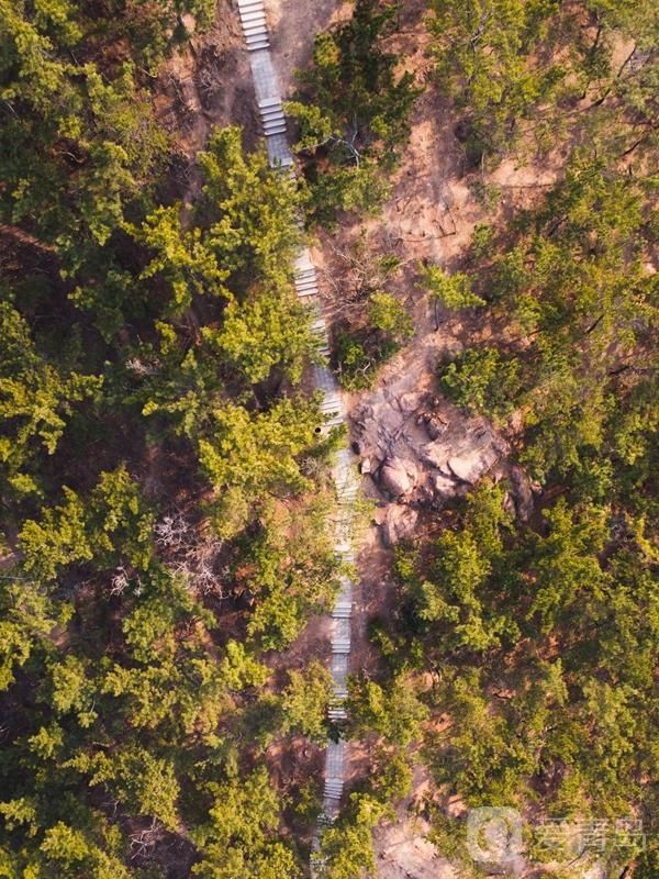 游湖登山春好处，到北岭山森林公园踏春去