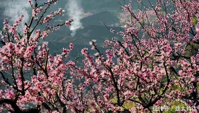 秀美山谷的春色,尽在一首无题诗中,无一个情字,而又字字关情