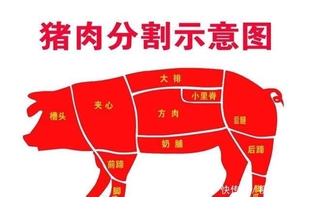 饺子|猪肉馅饺子很好吃,哪个部位做馅料最美味,让我来告诉你