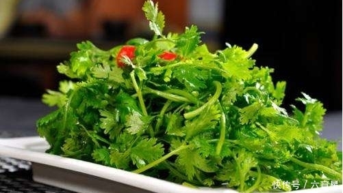 很大|香菜和此物是“天敌”，同食对身体伤害很大，很多人还不清楚
