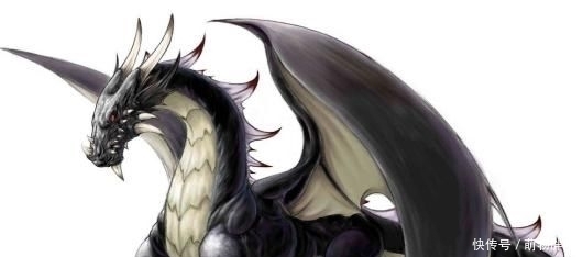  四大|上古辈分最高的四大神兽，堪称动物的始祖，麒麟凤凰都只是孙子辈