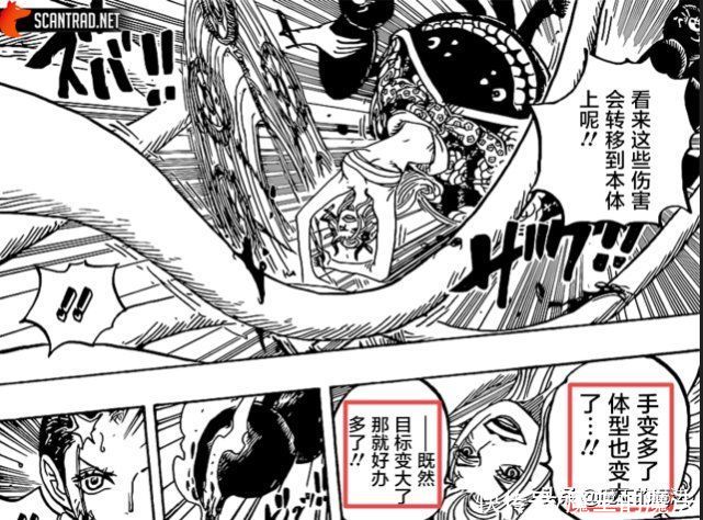 杀手锏|海贼王:黑玛利亚发现罗宾弱点,嘲笑是其工具人,却不知对方很强