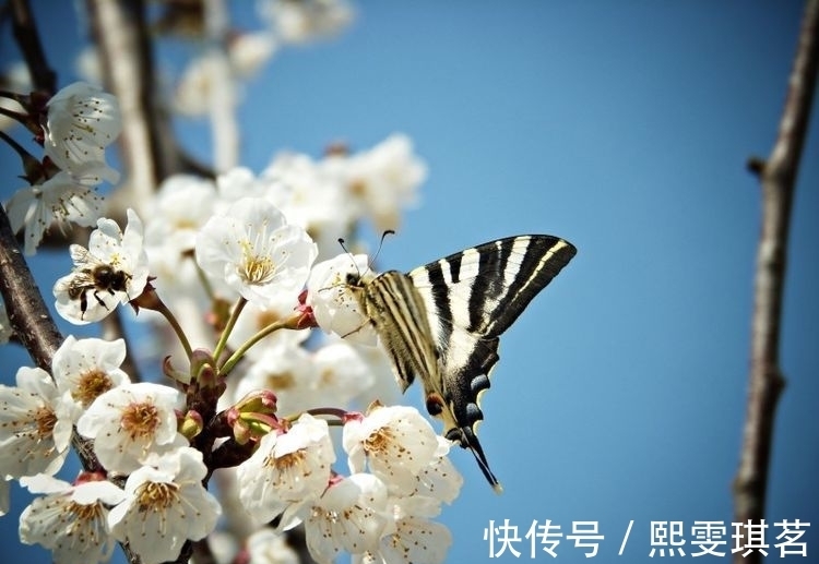 丁兴隆|家中有这三大生肖，财旺气旺，招财进宝，全家富贵安康