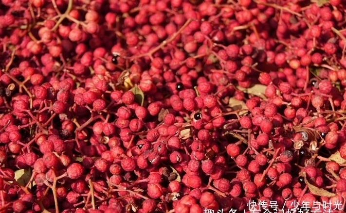 纯天然|纯天然的“子宫清洁工”，经期多吃此物，子宫越干净，远离妇科病