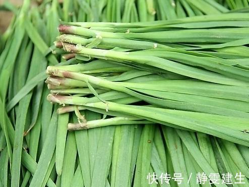 不宜食用|常吃韭菜有着不少好处,但切忌与一物同食,偏偏却有很多人犯错误