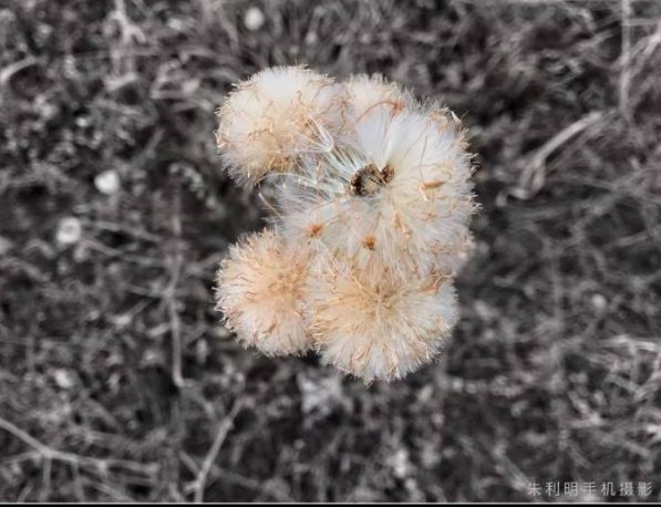 ct|最好的朋友肿瘤转移，要不要告诉他？身为肿瘤医生的他犹豫了