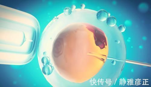 小郭|为啥女明星怀双胞胎很容易？两种惯用方式，一般妈妈很难接受