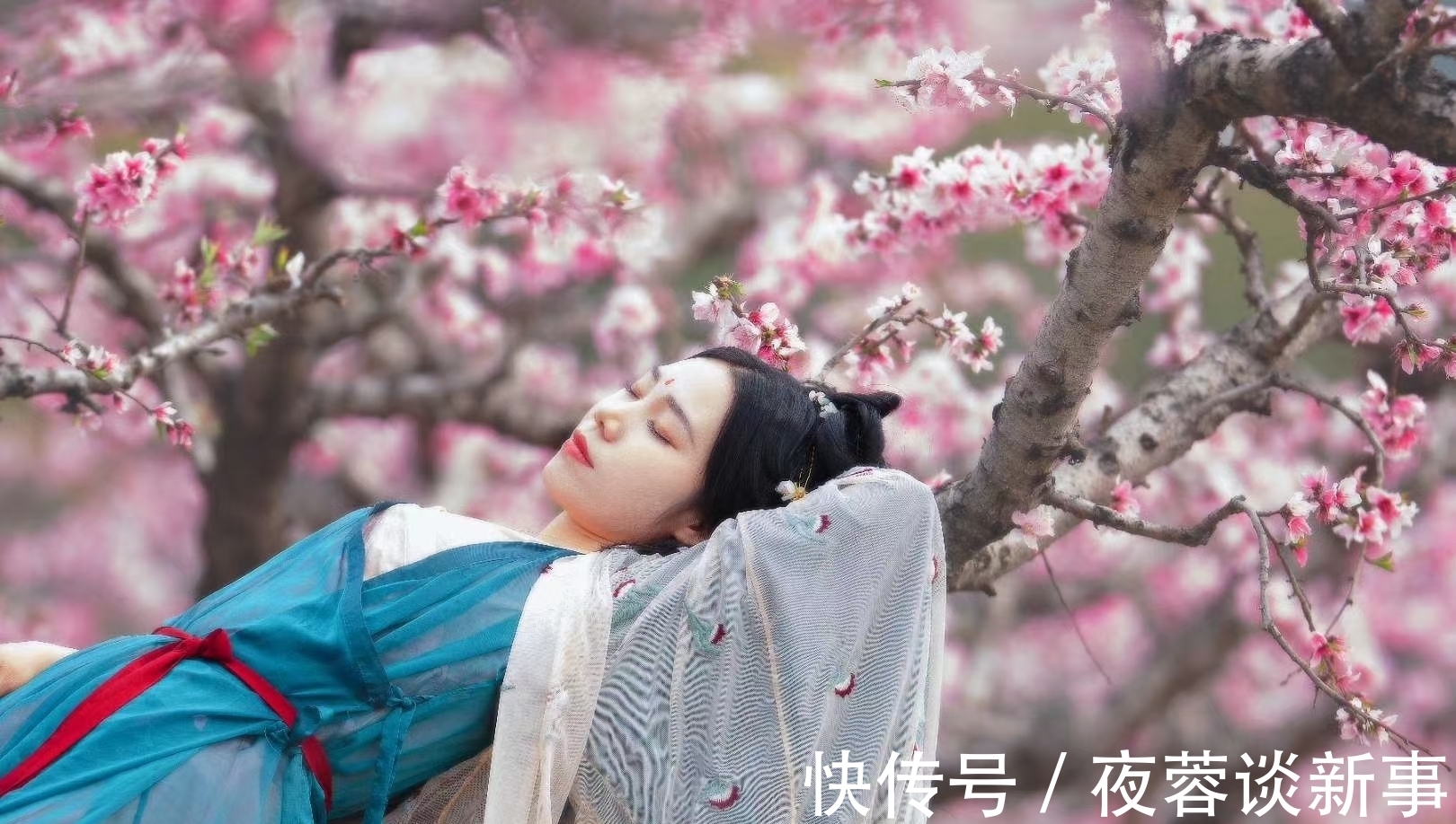 图说#图说故事:依旧舞春风