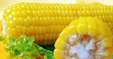 玉米|脂肪最怕的3种食物,刮油清脂,润肠通便,经常吃点,吃出好身材