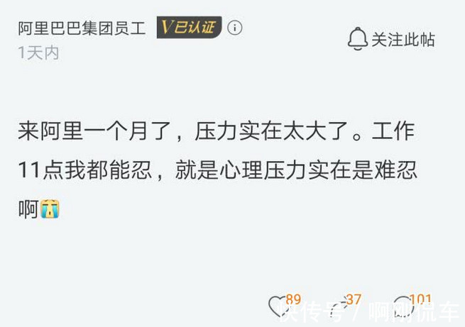 员工|新员工入职一个月感慨：加班到多晚都能接受，但心理压力太大
