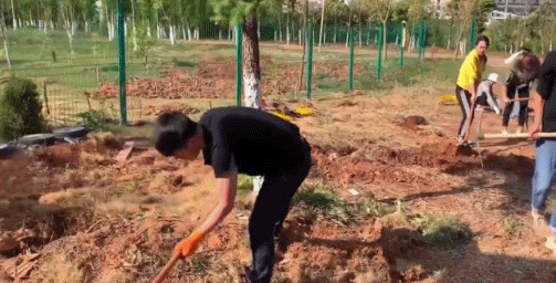 |大学里“最搞笑”的专业,充满乡土气息,在校园里追猪跑是常事