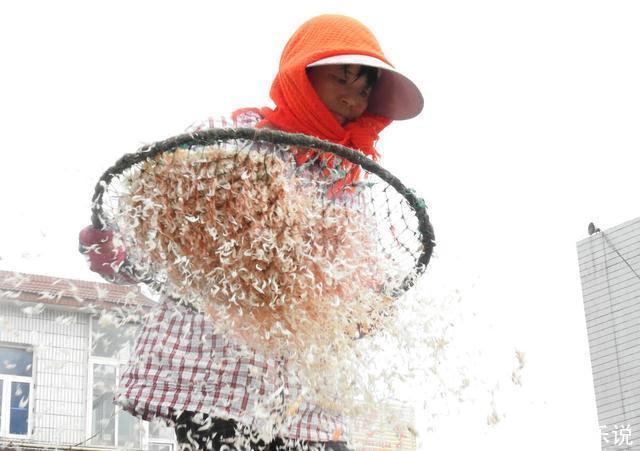 买虾皮时，“生虾皮”和“熟虾皮”要分清，二者差别大，别买错