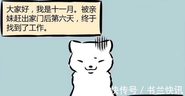 同事们|非人哉原来动物园的动物也是在工作,十一月的工作环境让狐羡慕