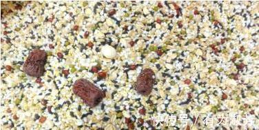 绿豆|熊孩子逛超市闯祸,将大米和绿豆混杂在一起,宝爸上网求助怎么办