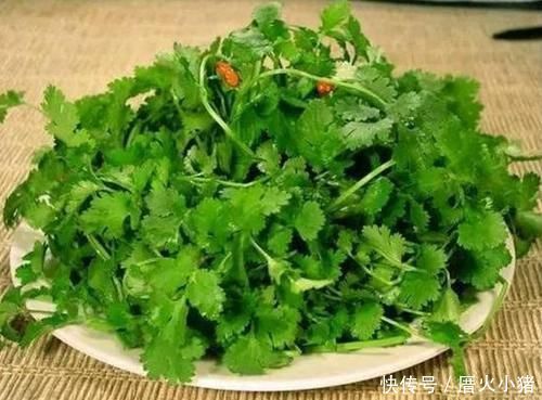 橘子皮|號稱“排毒之王”的香菜，學會用它有3大功效，很多人不知道
