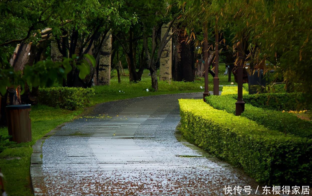 花卉|盆栽养花浇水不简单，常用这4种“水”，容易浇一盆死一盆