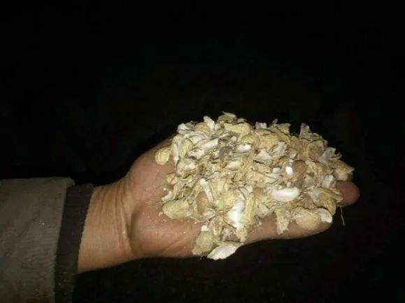 4种垃圾不会分类别担心,埋在花盆底,叶子绿得直滴油!