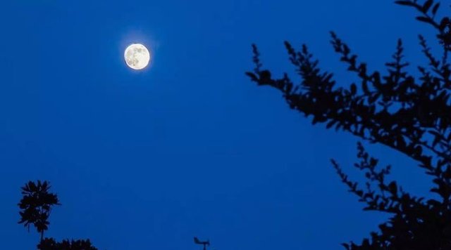 庆云#诗词:秃笔投枪抵万兵，横眉立目骨铮铮