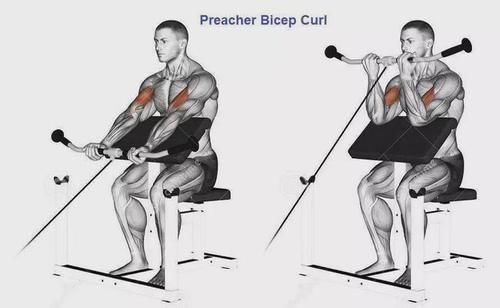 弯杆|最全的肱二三头肌训练图解,漂亮手臂必备!