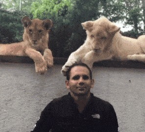 |搞笑GIF趣图:你刚下来的时候经历了什么,怎么这么顽皮呢!