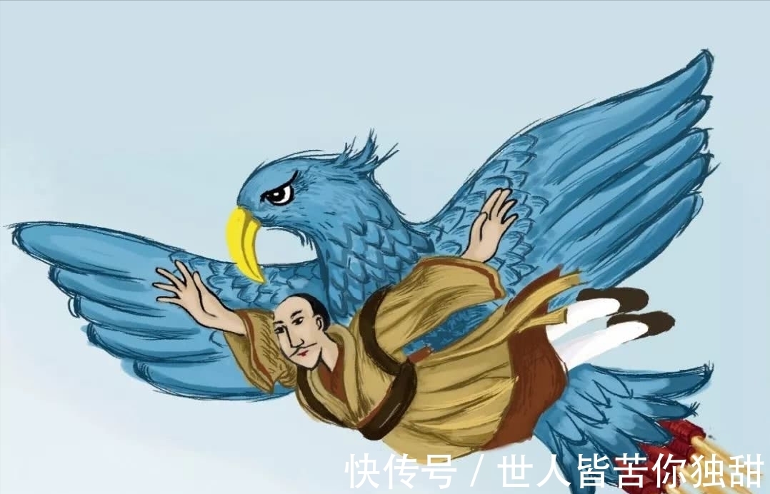 食肉动物|10条新鲜好玩的冷门小知识,你知道多少呢?