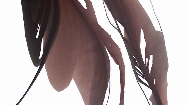 乌克兰|乌克兰艺术家安东·索科洛夫的水、彩画