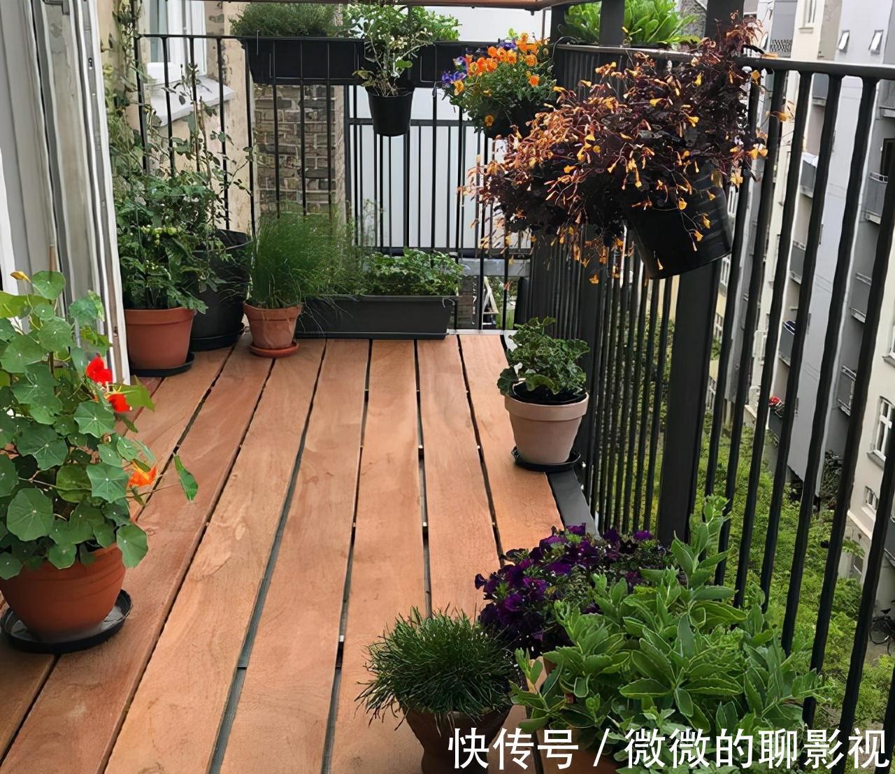 养花|网传3大错误养花技巧,阳台客厅都不同,南北差异就更大
