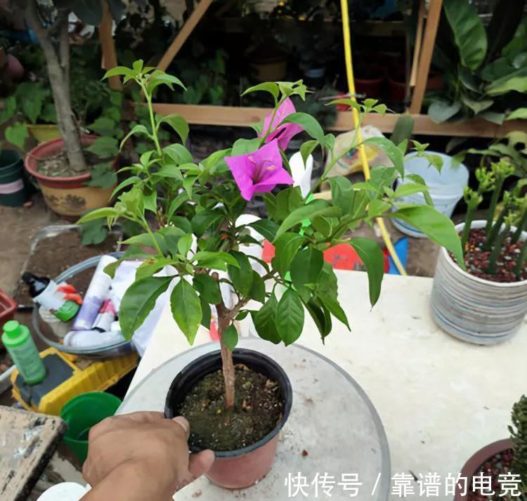 你还在花钱买土吗，不用花钱就能制作出高质量花土，要不要学习