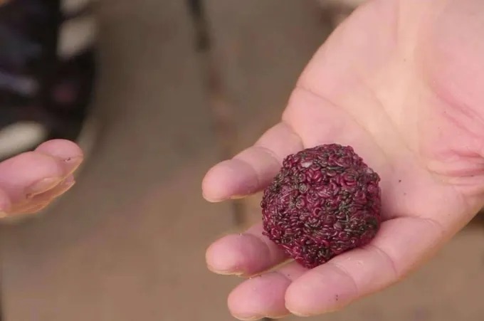 老司机：冷天开饵岂能乱来！多用四步，中鱼率高，刚下竿就有口