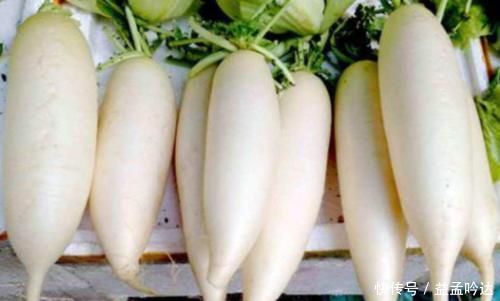 冬天要多吃白萝卜,买白萝卜时,牢记3个技巧,不怕买到糠心萝卜