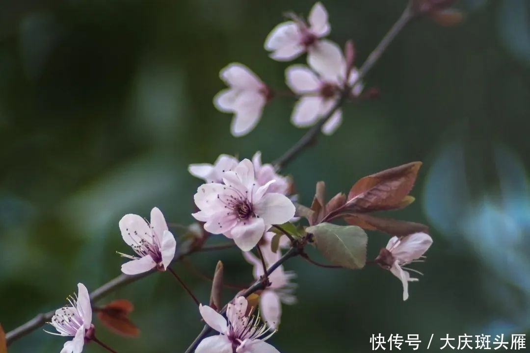 尊重|尊重(写得真好)