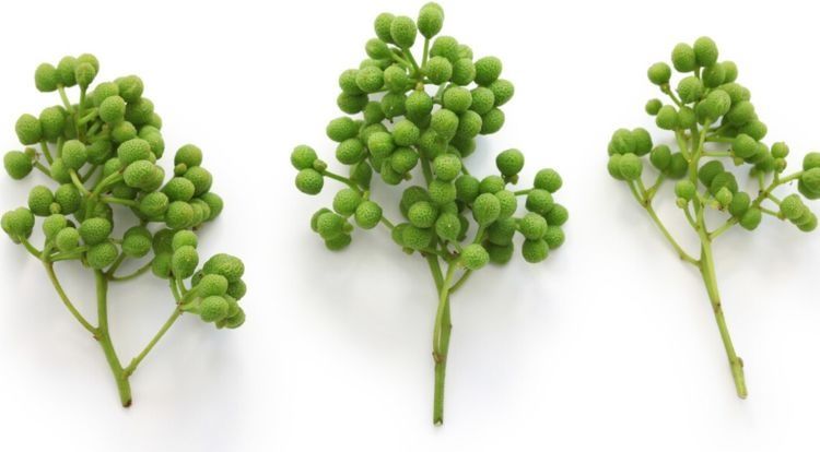 大虾不要再白灼了，教你一个做法，鲜咸入味又酥脆，好吃又下饭