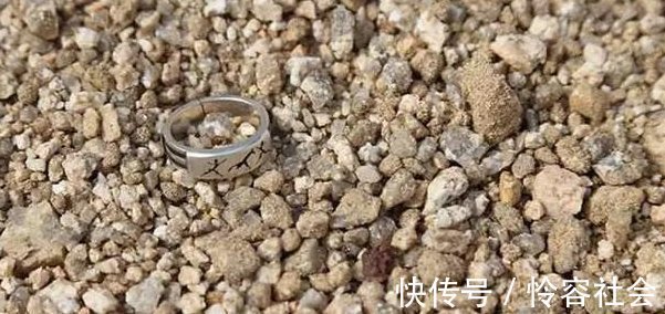 盆里扔2样东西,养花10年不烂根,叶子油光瓦亮,花苞挂满枝头