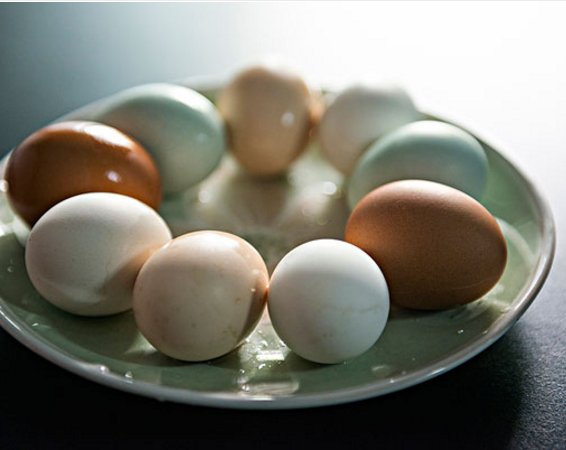 老年人如何养肝护肝